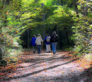 Harzer Klosterwanderweg
