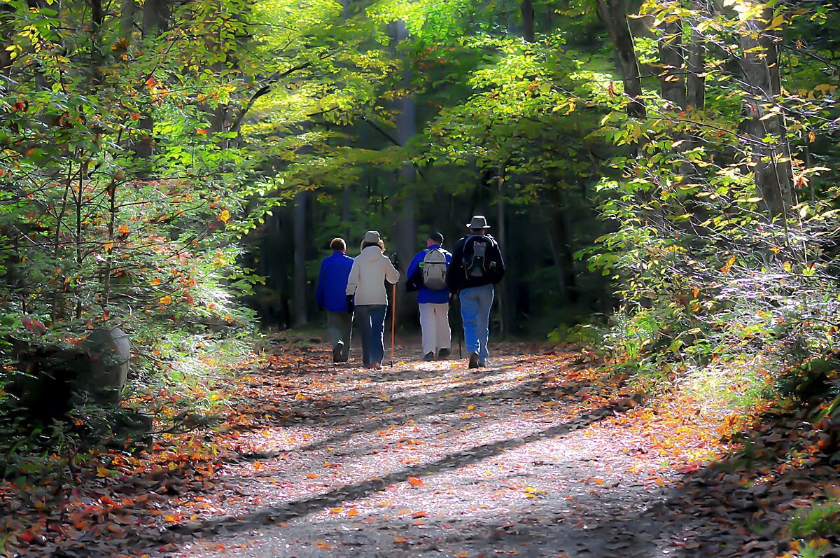Harzer Klosterwanderweg